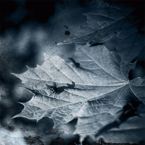 Garden Of Sadness : Fluctus - Garden Of Sadness